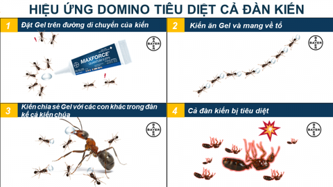 Bả Diệt Kiến Bayer Maxforce Quantum