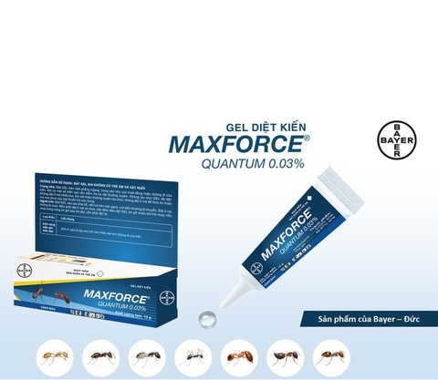 Bả Diệt Kiến Bayer Maxforce Quantum