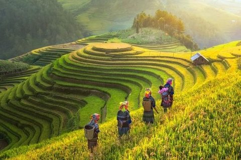 The very pleasant Vietnam Tour 22 Days