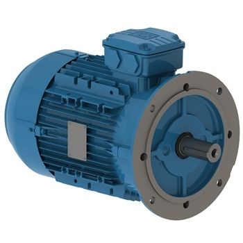 Động cơ điện hạ thế hiệu suất cao WEG W21