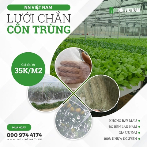 Lưới côn trùng là gì? Phân loại các loại lưới chắn côn trùng