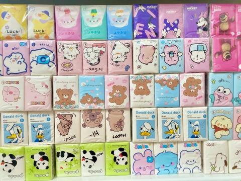 Túi 9 Khăn Giấy Khô RC04151