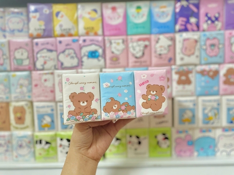 Túi 9 Khăn Giấy Khô RC04151