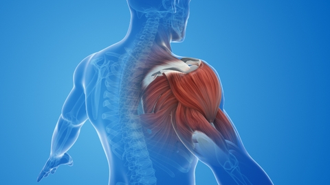 Chấn thương phần mềm quanh khớp: Nguyên nhân, triệu chứng và cách điều trị