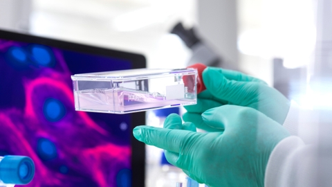 Tế bào gốc dùng để làm gì? 03 ứng dụng phổ biến của tế bào gốc