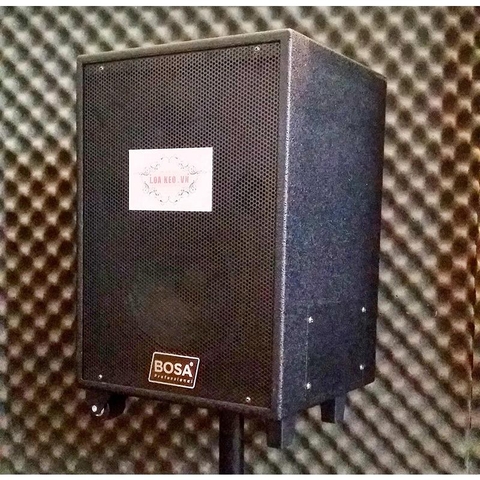 Loa kéo di động BOSA CD-813
