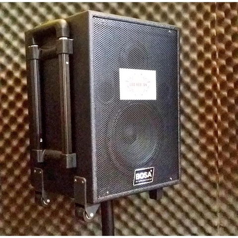 Loa kéo di động BOSA CD-813