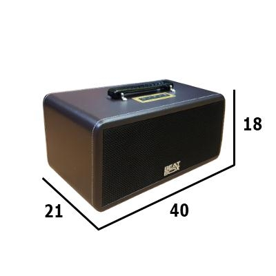 Loa kéo di động Acnos KBeatBox KS361MS