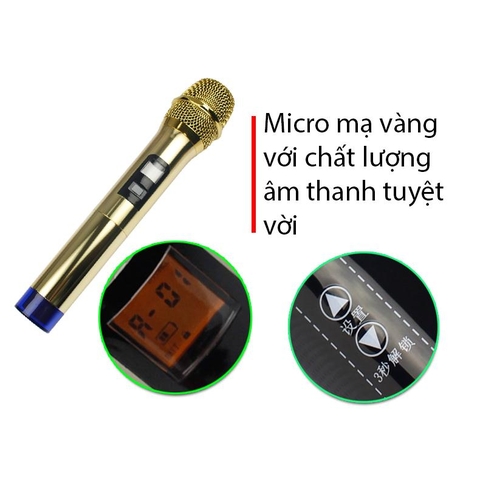 Loa Kéo Di Động Temeisheng GD12-03