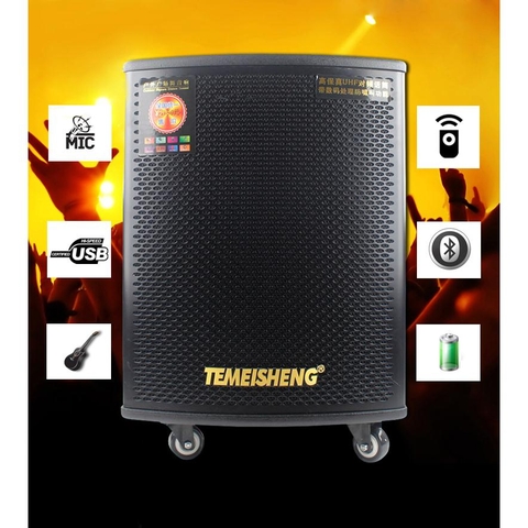 Loa Kéo Di Động Temeisheng GD12-03