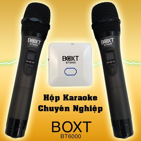 Hộp karaoke đa năng BOXT BT6000