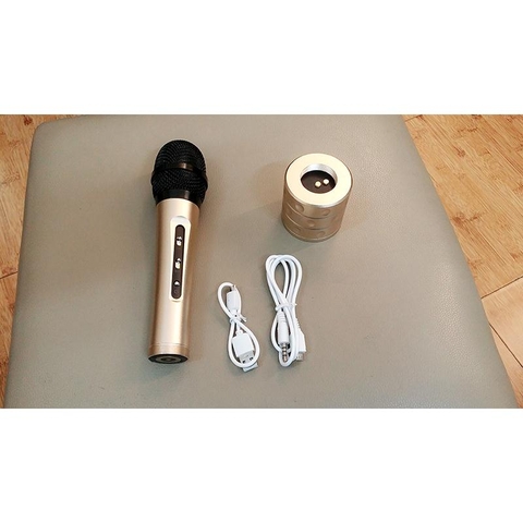 Micro kèm loa Magic karaoke iMicrophone
