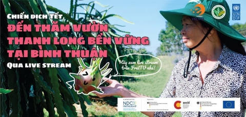 Thí điểm ứng dụng Live Streaming vào kinh doanh thanh long sạch và bền vững tại Bình Thuận