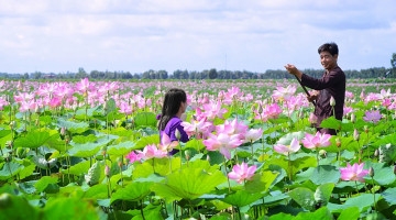 Thúc đẩy phát triển thương mại điện tử tại bốn tỉnh Đồng bằng sông Cửu Long (Phần 2)