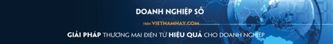 Giới thiệu về Doanh nghiệp số của Vietnamnay
