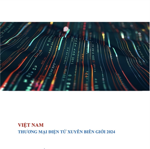 Việt Nam – Thương mại điện tử xuyên biên giới 2024, Dự án Thương mại số
