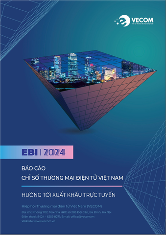 Báo cáo Chỉ số Thương mại điện tử Việt Nam _ EBI 2024