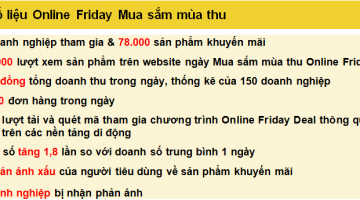 Ngày mua sắm mùa 2016 doanh thu đạt 203 tỷ đồng