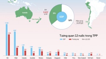 Lĩnh vực Thương mại điện tử trong Hiệp định Đối tác xuyên Thái Bình Dương (TPP)