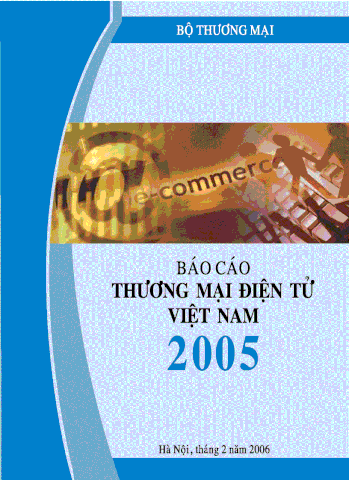 Vietnam E-commerce Report 2005