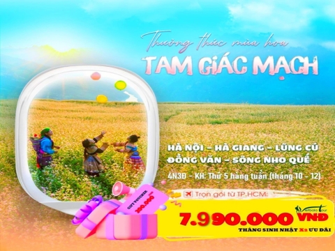 Tour Hà Giang hoa tam giác mạch