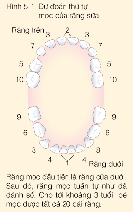 Trẻ ăn không đều bữa, kén ăn, vừa ăn vừa chơi Trẻ ăn không đều bữa, kén ăn, vừa ăn vừa chơi