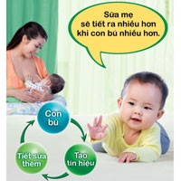 Chế độ ăn uống của các mẹ khi cho con bú. Chế độ ăn uống của các mẹ khi cho con bú.