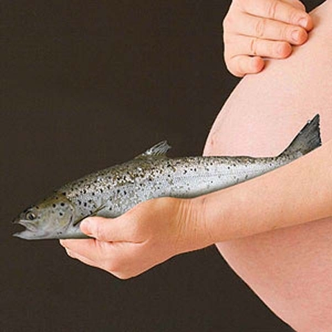 Mẹ bầu và cách ăn thủy hải sản hợp lý Mẹ bầu và cách ăn thủy hải sản hợp lý