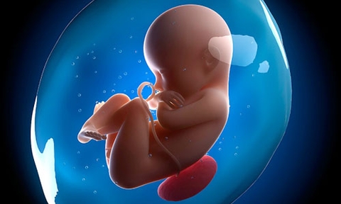 Cân nặng của mẹ và bé trong suốt thai kỳ Cân nặng của mẹ và bé trong suốt thai kỳ