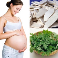9 dược liệu Đông y có lợi cho bà bầu. 9 dược liệu Đông y có lợi cho bà bầu.