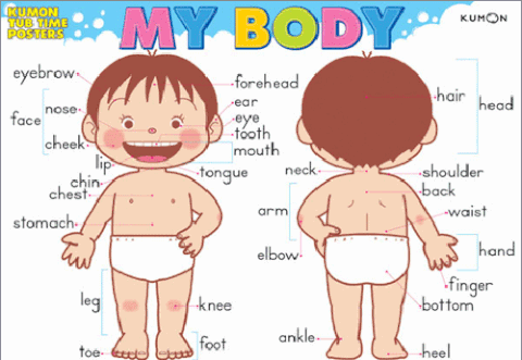 Những bước phát triển đáng lưu ý của bé 2 tuổi Những bước phát triển đáng lưu ý của bé 2 tuổi