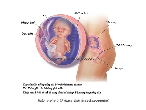 Mang thai tháng thứ 5 Mang thai tháng thứ 5