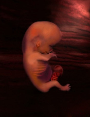 Mang thai tháng thứ 3 Mang thai tháng thứ 3