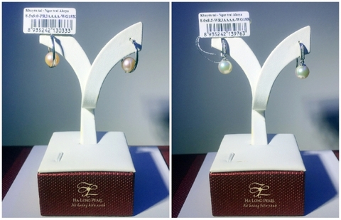 Đẹp hoàn hảo với  bông tai ngọc trai