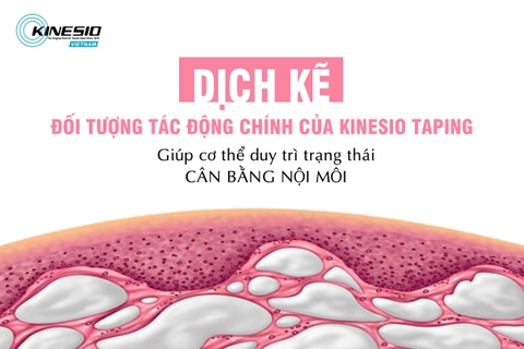 DỊCH KẼ - ĐỐI TƯỢNG TÁC ĐỘNG CHÍNH CỦA KINESIO TAPING