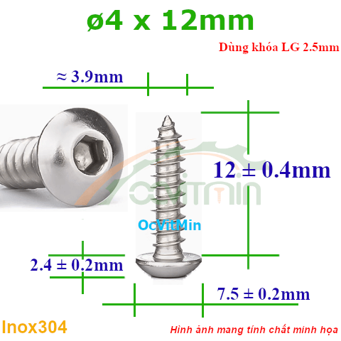 Vít Gỗ Lục Giác Đầu Dù ø 4x12mm - Vit Go Dau Luc Giac Du