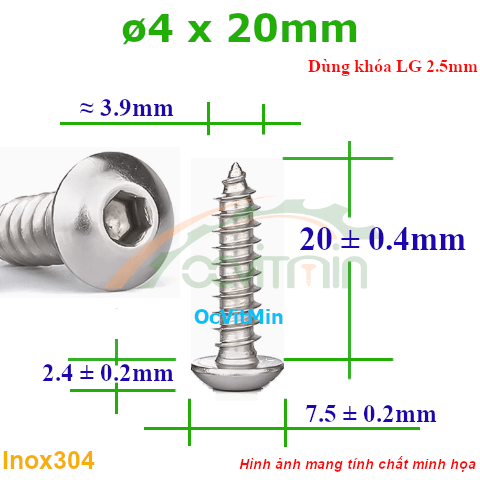 Vít Gỗ Lục Giác Đầu Dù ø 4x20mm - Vit Go Dau Luc Giac Du