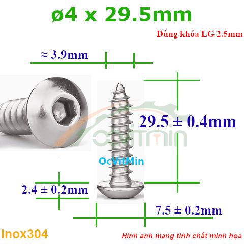 Vít Gỗ Lục Giác Đầu Dù ø 4x29.5mm - Vit Go Dau Luc Giac Du