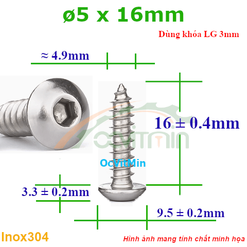 Vít Gỗ Lục Giác Đầu Dù ø 5x16mm - Vit Go Dau Luc Giac Du