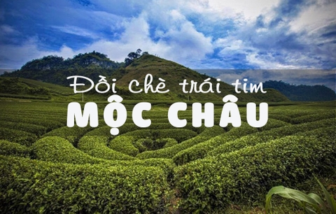 DU LỊCH MỘC CHÂU - MAI CHÂU