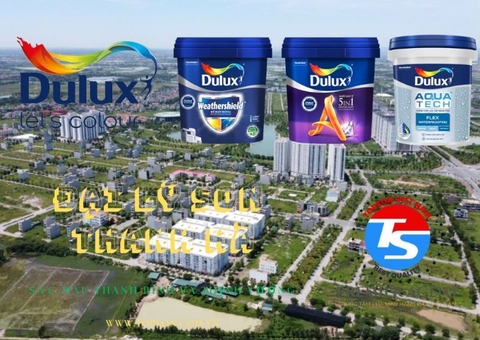 Đại lý sơn Dulux KĐT Thanh Hà Cienco 5