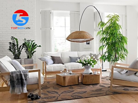 Tư vấn cách chọn và phối màu sơn nhà cấp 4 đẹp ấn tượng, thu hút