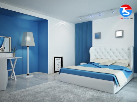 Tuổi Quý Hợi sơn nhà màu gì hợp phong thuỷ, rước tài lộc vào nhà