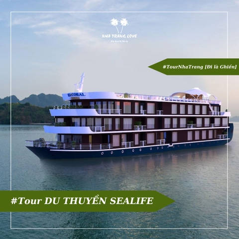 Tour Du Thuyền SeaLife Nha Trang