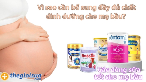 Vì sao cần bổ sung đầy đủ dinh dưỡng cho mẹ bầu? Các loại sữa bầu tốt cho mẹ