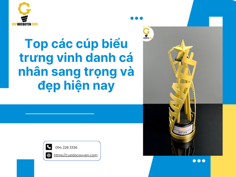 Top các cúp biểu trưng vinh danh cá nhân sang trọng và đẹp hiện nay