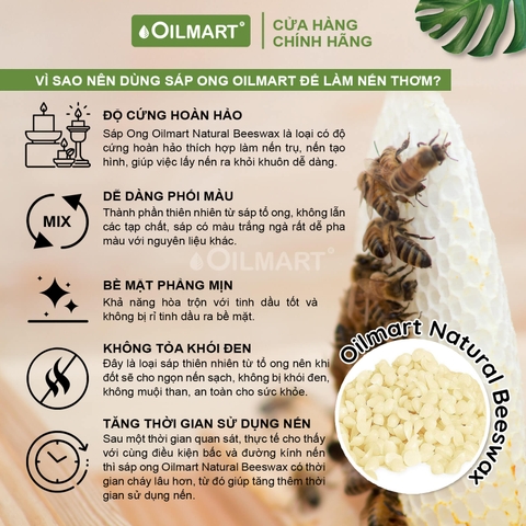 Sáp Ong Tự Nhiên Dạng Viên Oilmart Natural Bee Wax