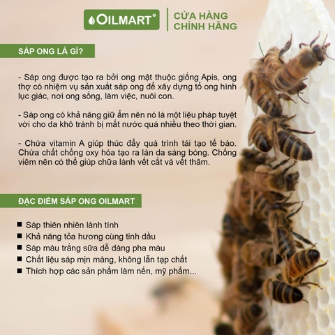 Sáp Ong Tự Nhiên Dạng Viên Oilmart Natural Bee Wax