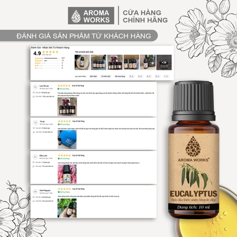 Tinh Dầu Thiên Nhiên Khuynh Diệp Aroma Works Essential Oil Eucalyptus