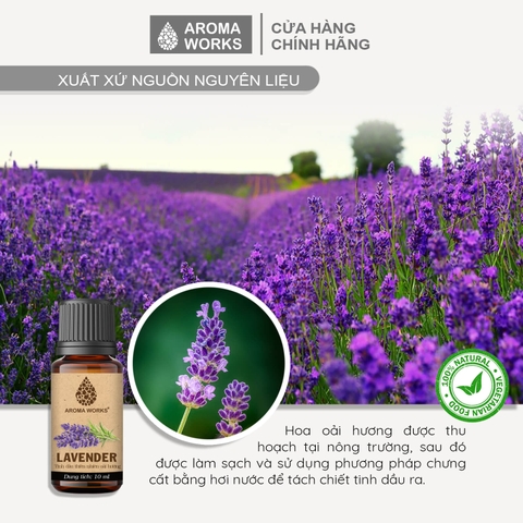 Tinh Dầu Thiên Nhiên Hoa Oải Hương Aroma Works Essential Oil Lavender